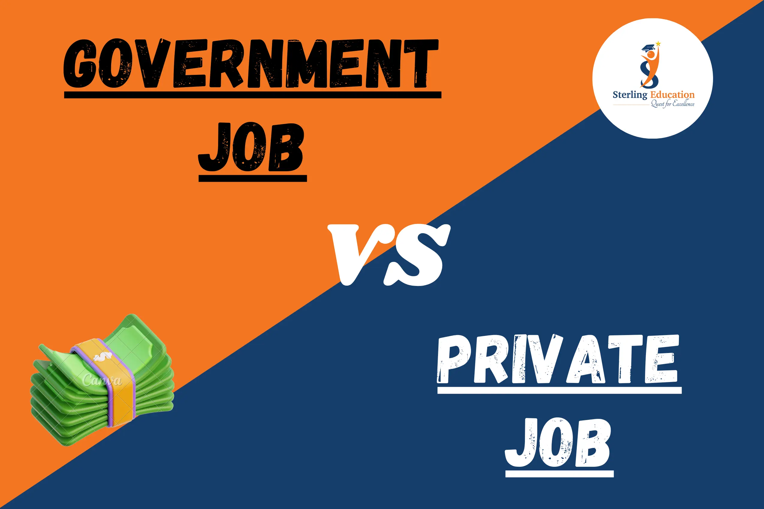 Exploring Career Paths: Jobs in Government vs. Private Sector